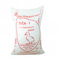 duck1
