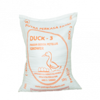 duck3