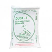 duck4