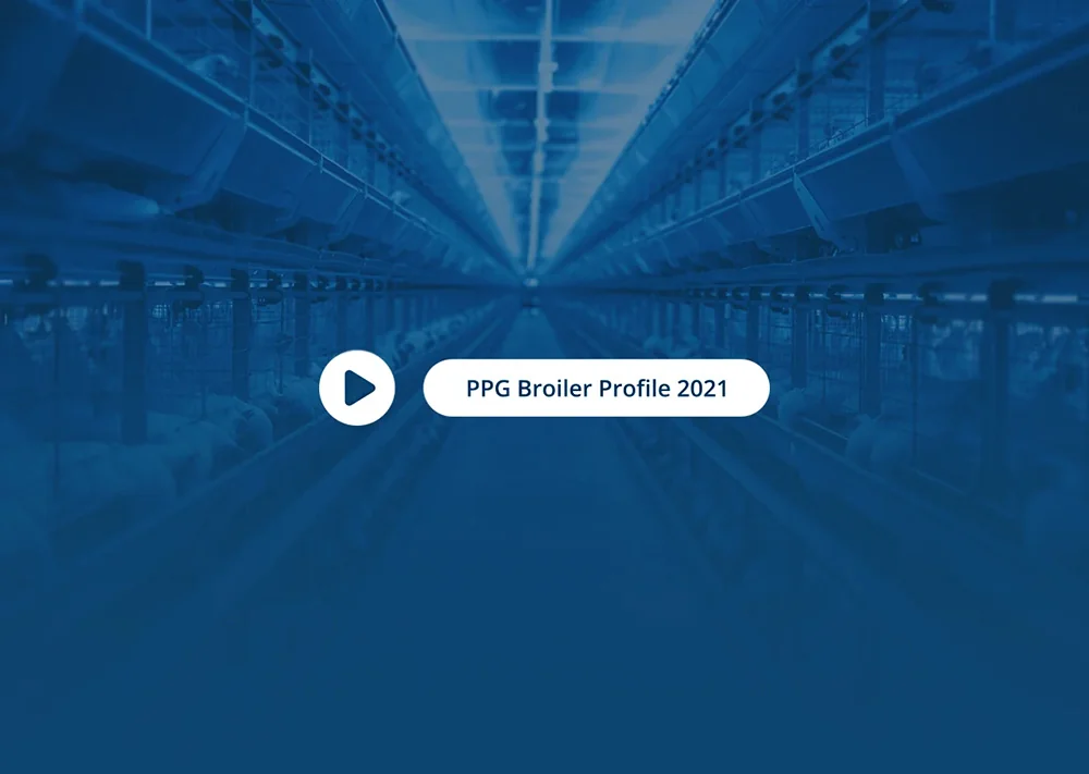 PPG Broiler Profile