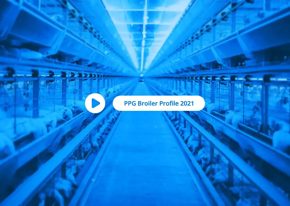 PPG Broiler Profile - Hover