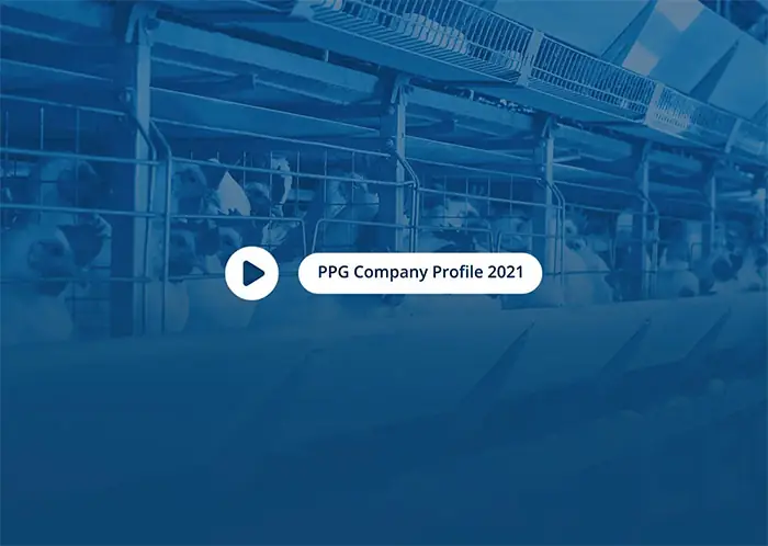 PPG Company Profile