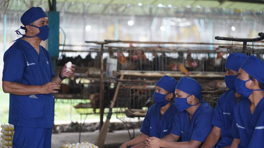 Biosecurity Kandang Ayam